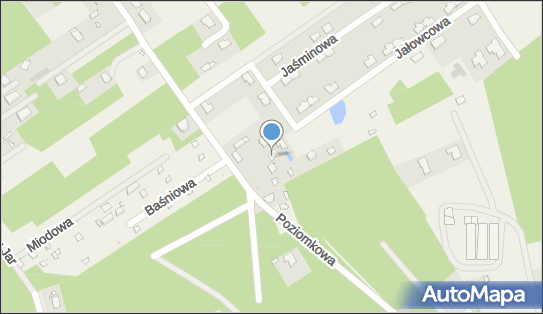 072899148, Adiutori Joanna Kostka 
