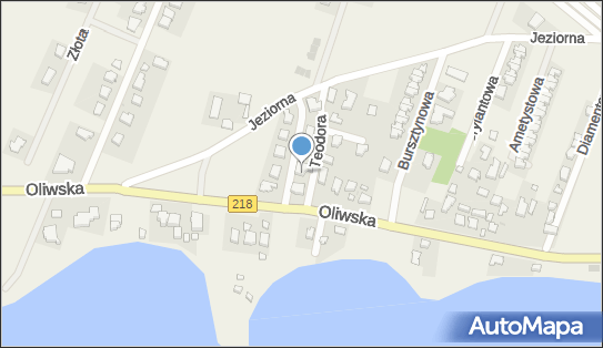 Adrian Maciejewski Top, Telesfora 4, Chwaszczyno 80-209 - Przedsiębiorstwo, Firma, NIP: 7891572522