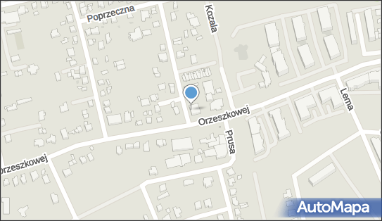 Adrian Wiśniewski, Bluszczowa 17, Gniezno 62-200 - Przedsiębiorstwo, Firma, NIP: 7842493426