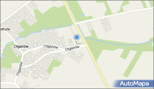 Agata Adamczyk - Działalność Gospodarcza, Olganów 50, Olganów 28-100 - Przedsiębiorstwo, Firma, NIP: 6551125137