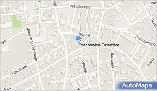 Agata Janik Transtabor-Loko, ul. Adama Mickiewicza 4 43-502 - Przedsiębiorstwo, Firma, NIP: 6521212908