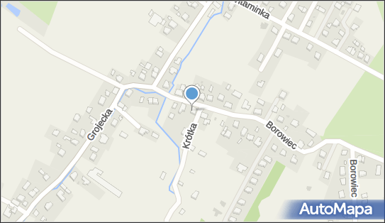 Agata Szałaśna - Działalność Gospodarcza, Borowiec 10, Zaborze 32-600 - Przedsiębiorstwo, Firma, NIP: 5491397847