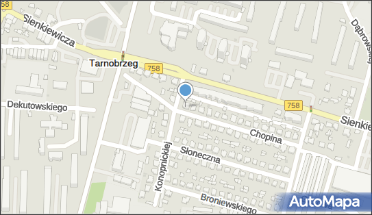 8672131994, Pracownia Fryzjerska Agata Zioło 