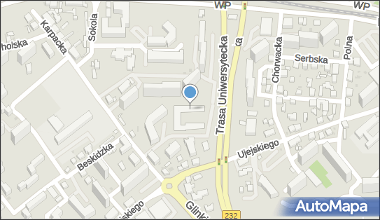 Agencja Artystyczna Tomasz Szewczyk, ul. Karpacka 43c, Bydgoszcz 85-164 - Przedsiębiorstwo, Firma, NIP: 5542222389