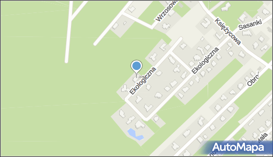 5311413669, Agencja Artystyczno-Usługowa Ars Iwona Greese Łyko 