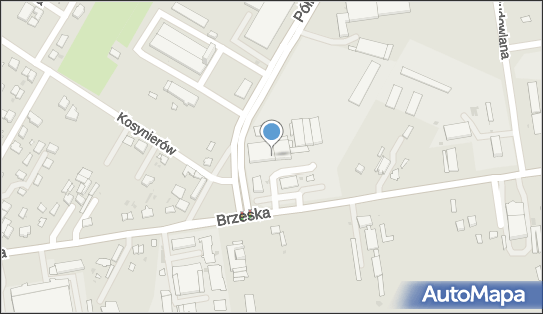 5371332118, Agencja Celno - Spedycyjna 