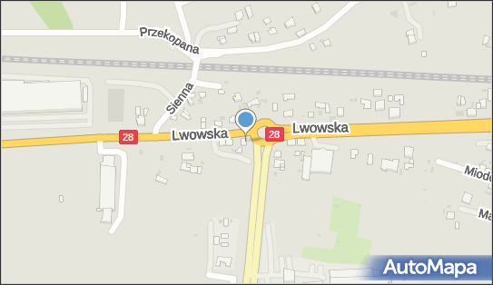 7952462823, Agencja Interaktywna zubi.pl 