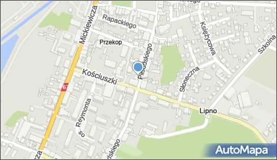 Agencja Ochrony Mienia Magnum Jagliński Jan, Lipno 87-600 - Przedsiębiorstwo, Firma, NIP: 8931178980