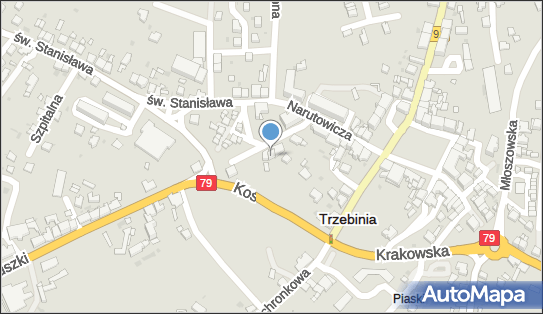 120282994, Agencja Ochrony Osób i Mienia 