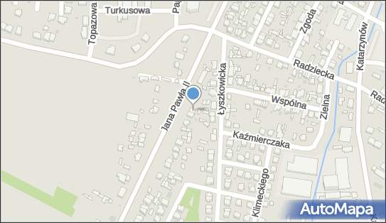 Agencja Ochrony Raptor, Jana Pawła II 85, Łowicz 99-400 - Przedsiębiorstwo, Firma, numer telefonu, NIP: 5070001651