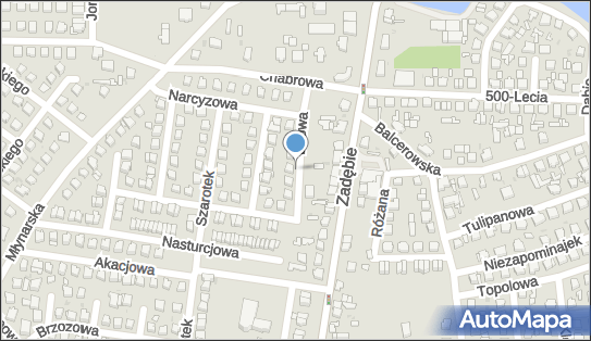 Agencja Szkoleniowa Ap Griniar, Liliowa 6, Skierniewice 96-100 - Przedsiębiorstwo, Firma, numer telefonu, NIP: 8361057646