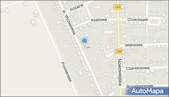 Agent Ubezpieczeniowy Grzegorz Słomiński, al. Wyzwolenia 55 64-510 - Przedsiębiorstwo, Firma, NIP: 7871092279