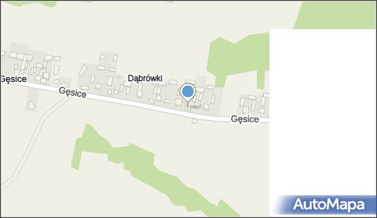 Agent Ubezpieczeniowy Michał Woźniak, Gęsice 15, Gęsice 25-026 - Przedsiębiorstwo, Firma, NIP: 6572259446