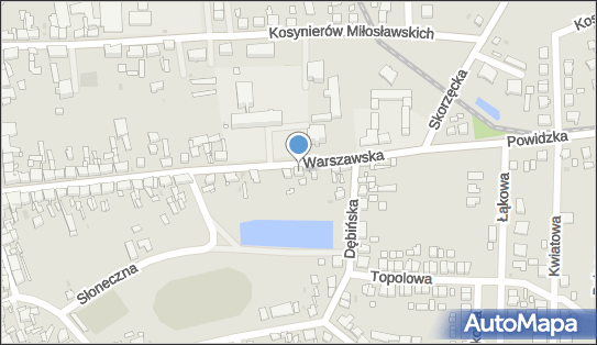 Agent Ubezpieczeniowy Paweł Tomczak, Warszawska 36, Witkowo 62-230 - Przedsiębiorstwo, Firma, NIP: 6671187974
