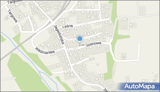 5532273178, Agent Ubezpieczeniowy - Salamon Marta 