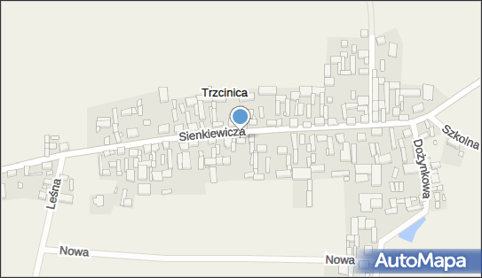 Agent Ubezpieczeniowy Zakład Automatyki Przemysłowej, Trzcinica 64-050 - Przedsiębiorstwo, Firma, NIP: 7811017541