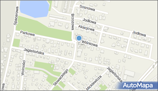 9111054216, Agent Ubezpieczeniowy Anna Orłowska 