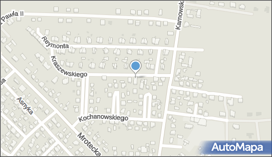Agent Ubezpieczeniowy, ul. Ignacego Kraszewskiego 5 89-100 - Przedsiębiorstwo, Firma, NIP: 5581062174