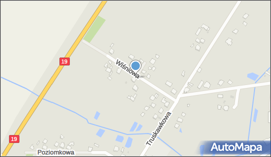 Agent Ubezpieczeniowy, Wiśniowa 9, Radzyń Podlaski 21-300 - Przedsiębiorstwo, Firma, numer telefonu, NIP: 5381035480