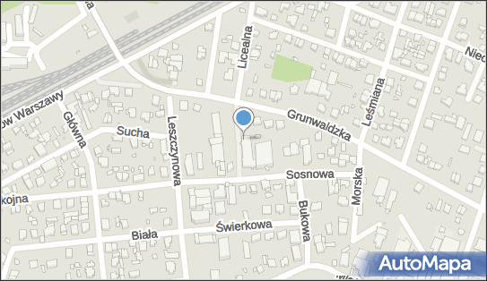 Agent Ubezpieczeniowy, ul. Grunwaldzka 39A, Pruszków 05-800 - Przedsiębiorstwo, Firma, NIP: 5341369967