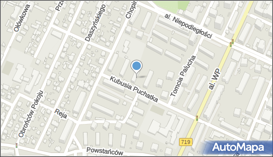 Agent Ubezpieczeniowy, Kubusia Puchatka 14, Pruszków 05-800 - Przedsiębiorstwo, Firma, NIP: 5341084911