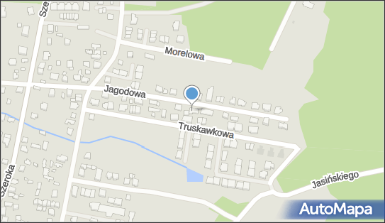 1250439418, Agent Ubezpieczeniowy, Kopała Dariusz 