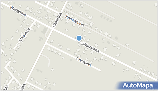5431029169, Agent Ubezpieczeniowy Mariola Litwinczuk 