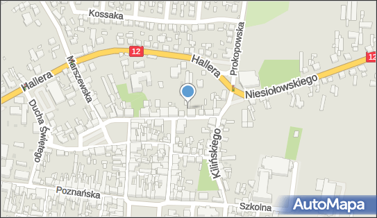 Agent Ubezpieczeniowy, Bojanowskiego Edmunda 6a, Pleszew 63-300 - Przedsiębiorstwo, Firma, numer telefonu, NIP: 6171151890