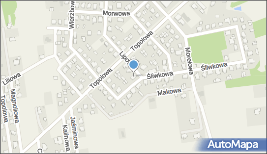 6651253610, Agent Ubezpieczeniowy Kaźmierczak Maria 