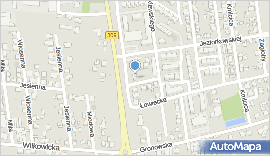 Agent Ubezpieczeniowy, Chocimska 8, Leszno 64-100 - Przedsiębiorstwo, Firma, NIP: 6971075653