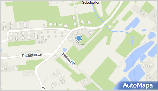 7251123270, Papa D Paweł Stasiak 