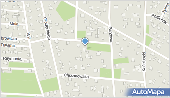 010700422, Agnieszka Ignaczak-Brzeska Zakład Fryzjerski Dla Psów 