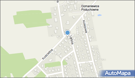 7331184078, Agnieszka Golan Gol - Trans 