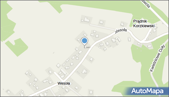 Agnieszka Kawala Dark Hair, Wesoła 73, Wielka Wieś 32-089 - Przedsiębiorstwo, Firma, NIP: 6371845841