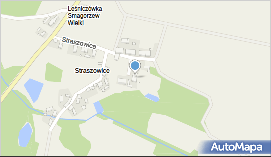 Agnieszka Protasewicz Pilęgnacja Wnetrz, Straszowice 7 56-100 - Przedsiębiorstwo, Firma, NIP: 9880091990