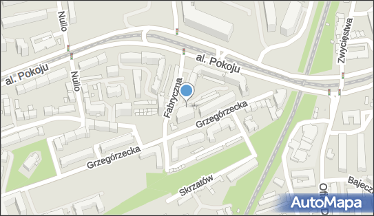 Agnieszka Ptak-Witkowska Fast - Diamed, ul. Grzegórzecka 102 31-559 - Przedsiębiorstwo, Firma, NIP: 6781442947