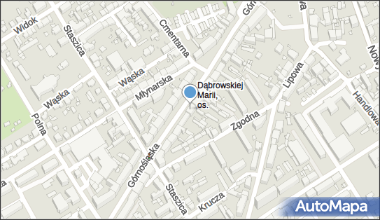 Agnieszka Radomska Transpid, Górnośląska 28, Kalisz 62-800 - Przedsiębiorstwo, Firma, NIP: 6181335982