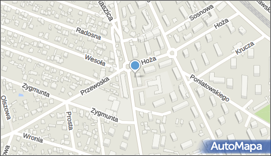 1181407704, As Sus Agnieszka Paulina 