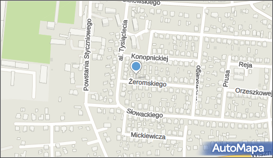 Agnieszka Trykacz - Działalność Gospodarcza, Radzyń Podlaski 21-300 - Przedsiębiorstwo, Firma, NIP: 5391006646