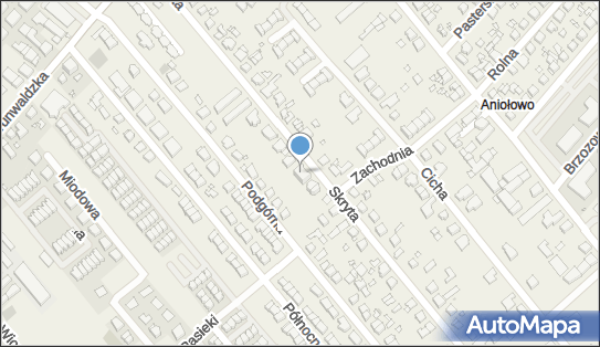 Agnieszka Wasilczuk, Skryta 34, Plewiska 62-064 - Przedsiębiorstwo, Firma, NIP: 8792373122