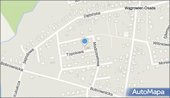 5621501681, Vip Rusztowania Agnieszka Zadroga 