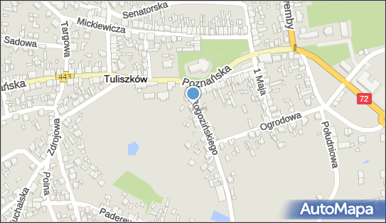 Agora Waldemar Radecki, ul. ks. Teodora Rogozińskiego 6, Tuliszków 62-740 - Przedsiębiorstwo, Firma, NIP: 6680009700