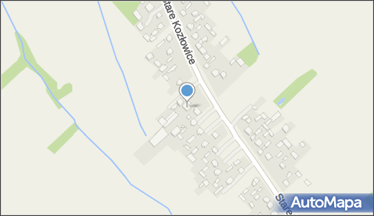 Agroland Jakub Deliś, Stare Kozłowice 168, Stare Kozłowice 96-315 - Przedsiębiorstwo, Firma, NIP: 8381694528