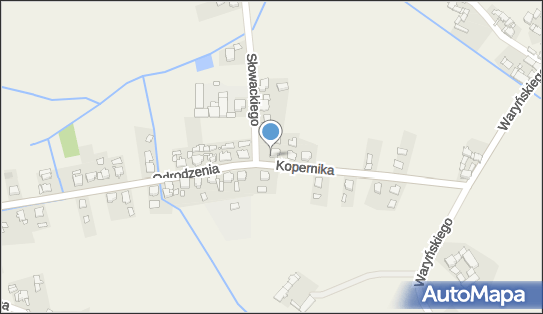 Agroturystyka Poza Miastem, Kopernika Mikołaja 10, Borycz 47-180 - Przedsiębiorstwo, Firma, numer telefonu