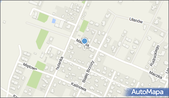 1182083221, Ahaya sp. z o.o. 