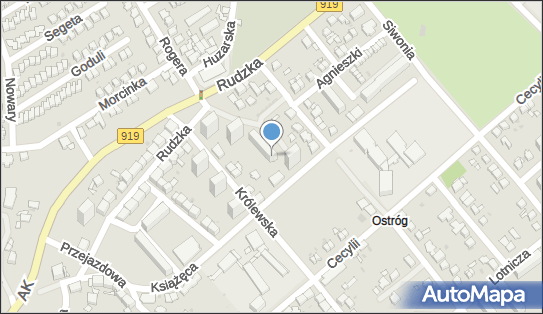Aig Amplico Live Zarembska, ul. Rudzka 55 D, Racibórz 47-400 - Przedsiębiorstwo, Firma, NIP: 6391246210