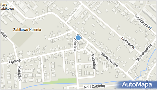 Ajp Andrzej Kaczmarek, Szkolna 22, Luboń 62-030 - Przedsiębiorstwo, Firma, NIP: 7822036298