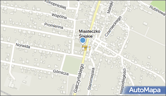 243027500, Akademia Piękna Michał Suchodolski-Hetmańczyk 