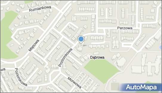 Akademia Piłkarska Trenera Czajki, ul. Poziomkowa 17b, Gdynia 81-589 - Przedsiębiorstwo, Firma, numer telefonu, NIP: 5851334732