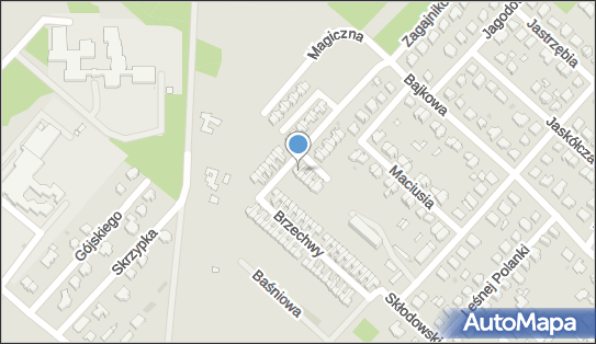 Akira Jacek Dąbrowski, ul. Jana Brzechwy 54, Skierniewice 96-100 - Przedsiębiorstwo, Firma, NIP: 8361595680